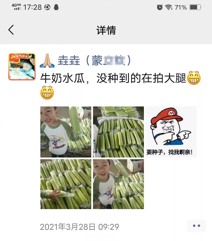 這個(gè)絲瓜每畝能掙3萬(wàn)，沒(méi)種植的農(nóng)戶后悔得拍大腿