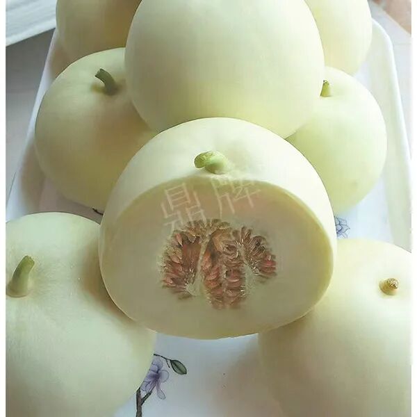 蔬菜種子種植戶客戶點(diǎn)評-這個(gè)品種幫我留一些，4月份我們當(dāng)?shù)剡€要種一批呢！