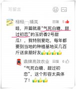 蔬菜種子種植戶客戶點(diǎn)評-“氣死白糖，甜過初戀”，您知道或體驗(yàn)過這句話嗎